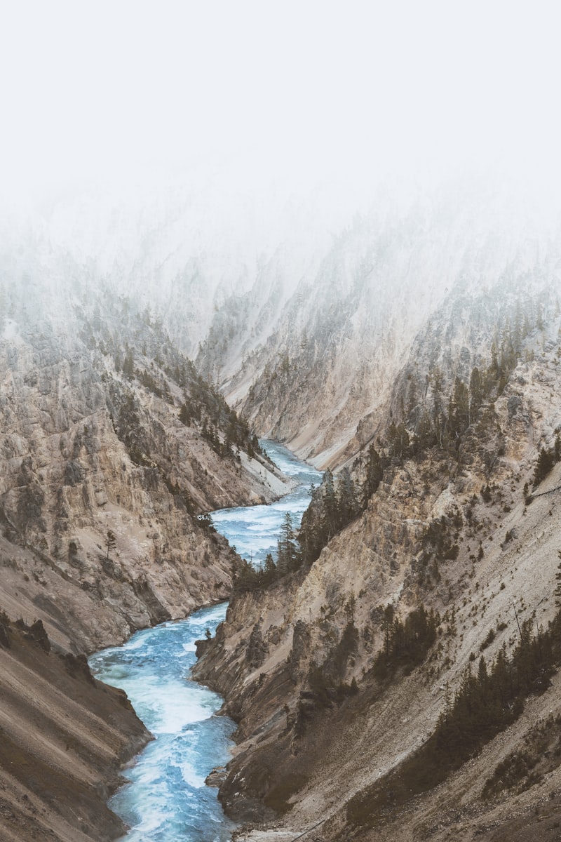 Delhi to Rishikesh